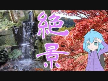 【宇陀市セレクション】グルメも自然も楽しめる…ここにしかない『宇陀』