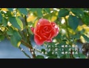 ウェルナーの野薔薇　すずきつづみAI（CeVIOAI)