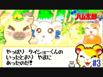 オレンジ見つけて幸せの図【ハム太郎4】＃3