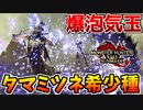 【爆泡】タマミツネ希少種の『超爆発元気玉』がド迫力過ぎるｗｗ【サンブレイク】
