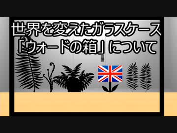 ゆっくり歴史よもやま話　ウォードの箱