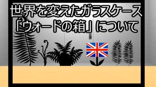 ゆっくり歴史よもやま話　ウォードの箱