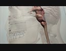 振り返りクルクルバタンは、何故起こるか？？
