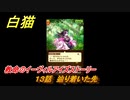 白猫　救命のイーヴィルアイズストーリー　１３話　辿り着いた先　ガチャキャラ　メラルーカ（斧）・フーシャ（槍）・リンド（変）　３０００日イベント　＃２１　【白猫プロジェクト】