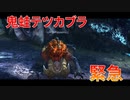 【実況】ぼっちハンターが行く！モンスターハンターXX 第8回
