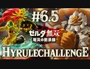 【ハイラルチャレンジ】くっつけて はなして　ダルケルの特訓　炎の特訓 序位　止めて 飛ばして　ウルボザの特訓　雷の特訓 序位【ゼルダ無双 厄災の黙示録】Part6.5