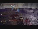【ELDEN RING実況】vsフィア連戦 part114