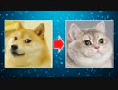 イヌの画像をネコの画像にゆっくり変化【StableDiffusion】【お絵描きAI】