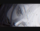 静止画mad 生と死／からだ探し