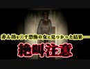 【2人実況】P.T.リスペクトのループ系ホラーゲームが怖すぎた【Victims of Dead Stories】