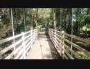 【４Ｋ】【栃木県】磯川緑地公園遊歩道(行)【Isokawa Ryokuchi Park Promenade】。2022年9月12日