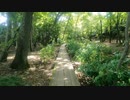 【４Ｋ】【栃木県】磯川緑地公園遊歩道(帰)【Isokawa Ryokuchi Park Promenade】。2022年9月12日
