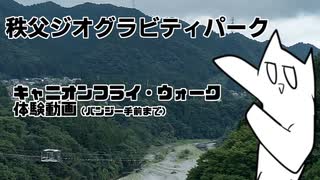 【秩父ジオグラビティパーク】キャニオンフライ・ウォーク体験してきた