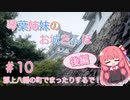 琴葉姉妹のお城さんぽ #10 郡上八幡の町でまったりするで！(後編)【VOICEROID旅行】