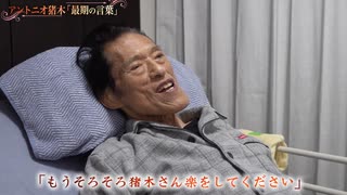 ホモと見る元気が無くて何もできない人