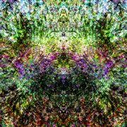 禍殃の瓊葩