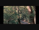 KORG C1 Airでオリジナル曲を作ってみた　『Nature』