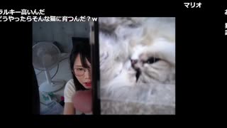 【むらまこ コメ有】なにやるかきめまちゅ。2022年9月26日
