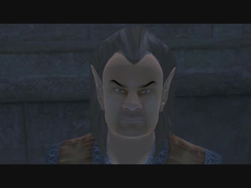 The Elder Scrolls Ⅳ:OBLIVION＃30