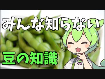豆知識第2話　豆の知識