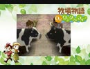【牧場物語 Oh！ワンダフルライフ】ロハスな生活に憧れるうちですが牧場物語をやっていく！【パート１６】