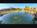 【釣り】東京の見次公園で鯉釣り＠上板橋から電動アシスト自転車でサイクリング【VLOG】