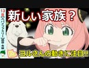 【スパイファミリー１３話感想・考察】美しい新章スタート！短足を気にするアーニャ【SPY×FAMILY】