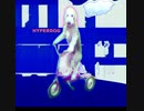 HYPERDOG/初音ミク