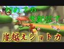 マリオカート8DX初心者ががんばって1位をとるだけ【#147】