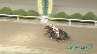 ＪＲＡ認定 第33回九州ジュニアチャンピオン（グレーターロンドン賞） イチノコマチ