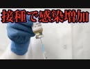 感染リスク、接種しただけで44%も増加。