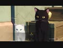 原神「ハールートとマールート」