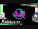 一口ボカロ曲解説【Rabbit⁉。】