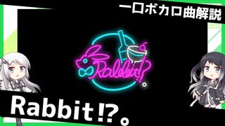 一口ボカロ曲解説【Rabbit⁉。】