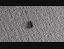 深夜の虫をLCPで撃破する