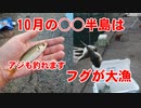 10月の福井県○○半島でフグが大漁に釣れる！アジも釣れます！