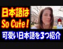 【海外の反応】 日本語の 可愛さの 虜になった 外国人女性に 共感の声が 殺到！ 「日本語は 反則的に 可愛い」