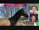 私が職場に連れていきたい動物 Dr.苫米地 (2022年10月3日)