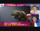 大麻・使用罪適用へ ”医療利用は解禁” Dr.苫米地 (2022年10月3日)