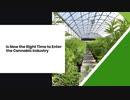Is Now the Right Time to Enter the Cannabis Industry