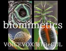 biomimetics