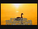 ヨーガ・ヴァーシシュタ６－５５