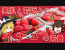 【ゆっくり解説】イチゴの栄養について解説！