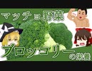 【ゆっくり解説】ブロッコリーの栄養について解説！