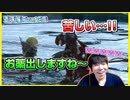 光の戦士、とんでもないタイミングで茶番を始めて一同驚愕　蒼天編Part20【FF14初見実況】
