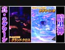魔神ダークドレアムによる、真･大魔王討伐一人旅。【VS真・ラプソーン】
