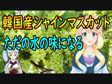 【韓国の反応】韓国で栽培したシャインマスカットが不味いと韓国農家が昼夜を問わず悩んでいる。【世界の〇〇にゅーす】
