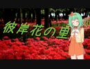 GUMIと彼岸花の里【日帰り旅行祭】