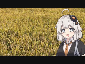 【豊穣の女神】全米を優しく見守る紲星あかり