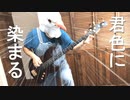 【西沢さんP】『君色に染まる』を弾いてみた【ベース】